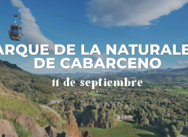 El Programa Viernes organiza una excursi�n al Parque de la Naturaleza de Cab�rceno el pr�ximo 11 de septiembre