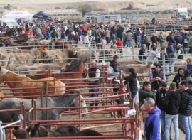 Requejo acoge este domingo la Feria ganadera de Campoo de Enmedio y la de productos agroalimentarios y artesanos