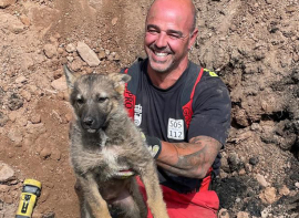 Rescatado un cachorro de perro que se haba atascado en una tubera en La Quintana
