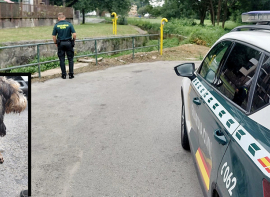 Rescatado un perro a punto de perecer ahogado que no pod�a no pod�a salir de un canal con maleza