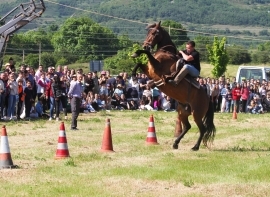 Salces festejar� a San Antonio con m�sica, tradiciones y actividades para todas las edades