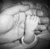 Valdecilla celebra el Da Mundial de la Prematuridad con una jornada para abordar su impacto en Cantabria